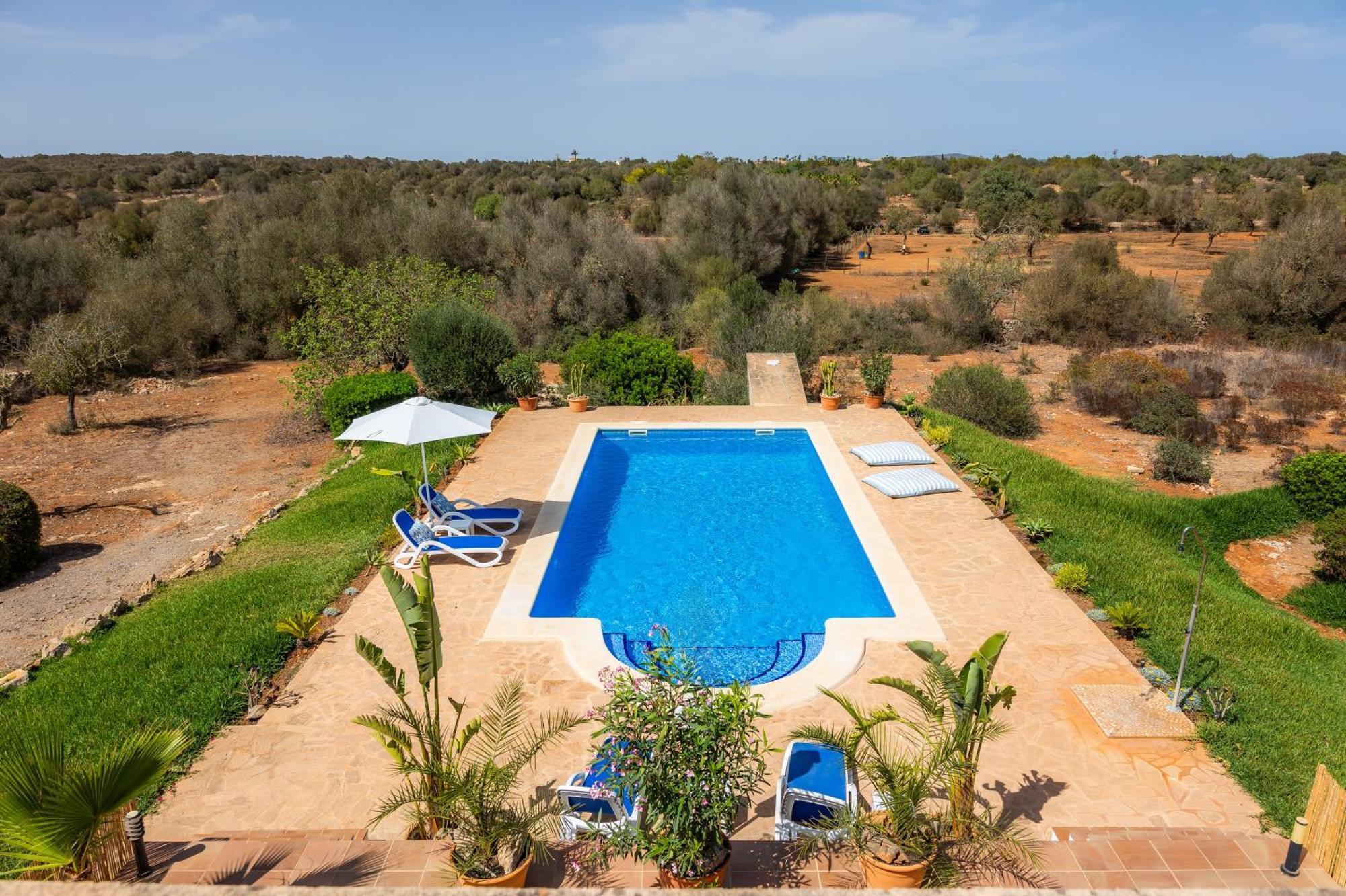 Oasis Del Sol Llombarts